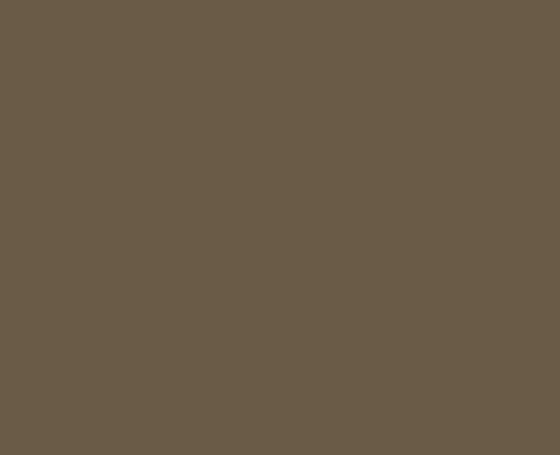 Штучний акриловий камінь LG Hi-Macs S104 Toffee Brown — фото 1 — MAS — Modern Acrylic Stone