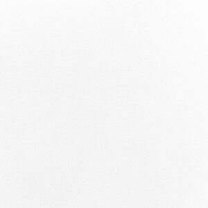 Широкоформатная керамогранитная плита Laminam Collection Bianco Assoluto — фото 1 — MAS — Modern Acrylic Stone