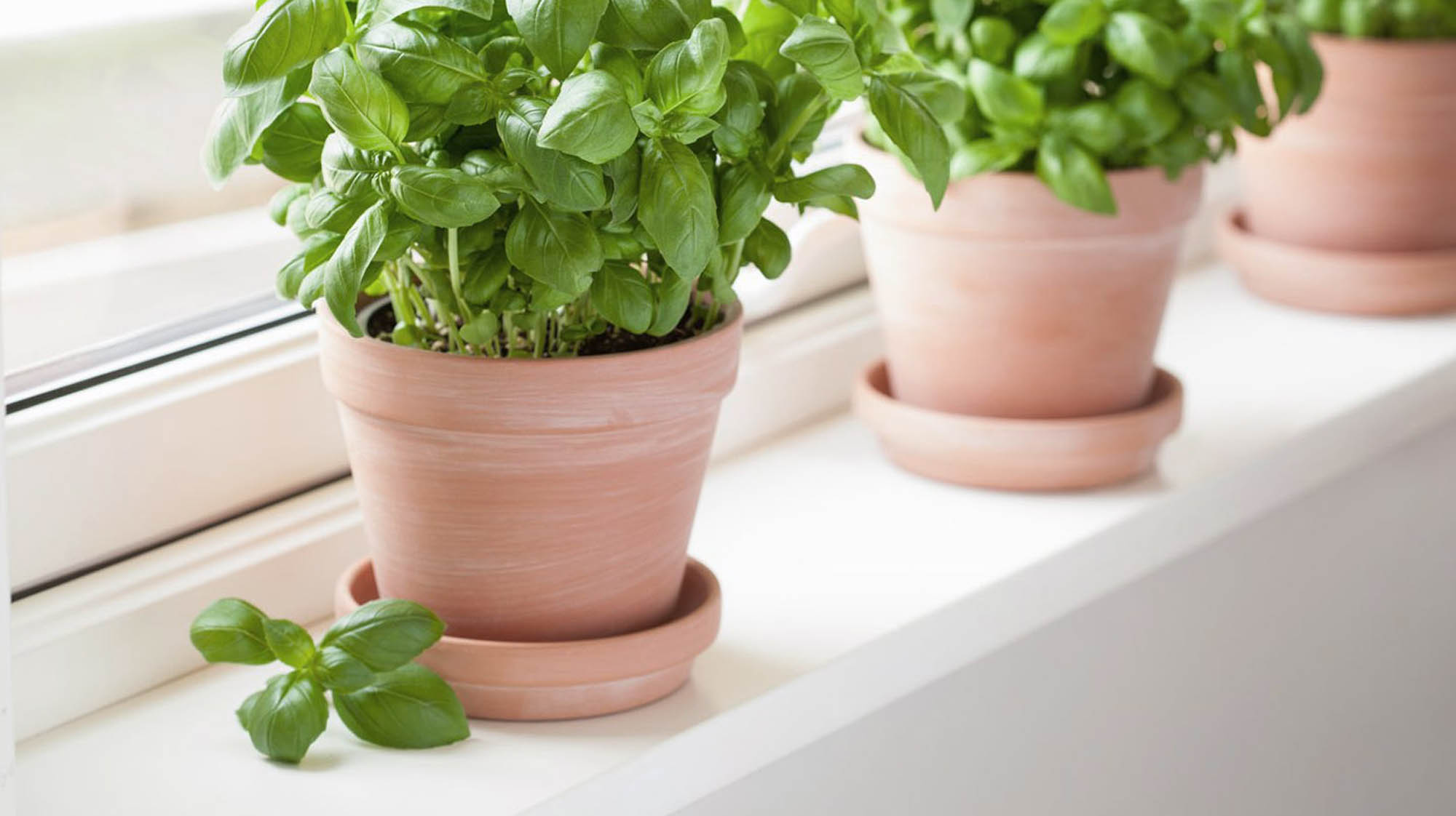 Подоконник из искусственного камня — MAS — Modern Acrylic Stone