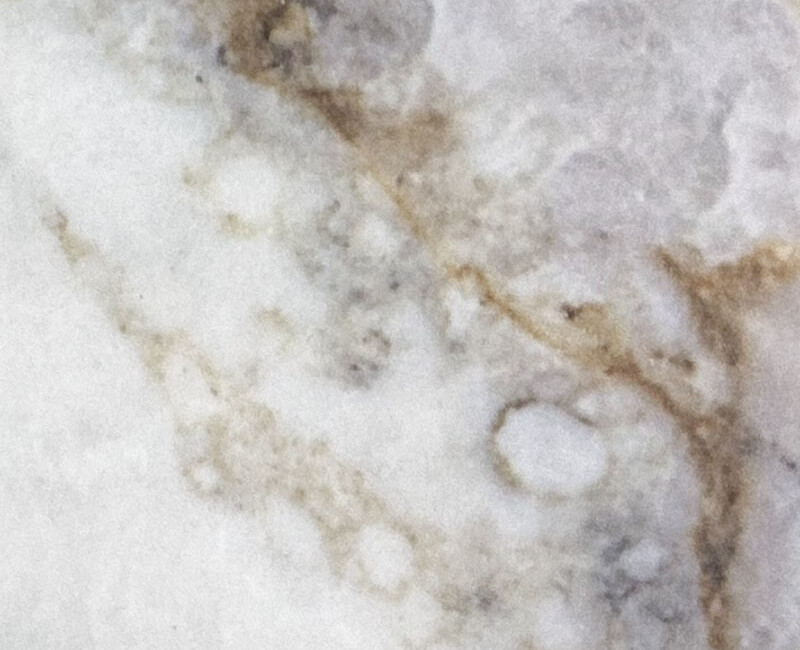 Искусственный кварцевый камень Avant Quartz 5750 Calacatta Chery — фото 1 — MAS — Modern Acrylic Stone